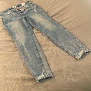 Lane Bryant Size 14 Signature Fit Pull On Jegging